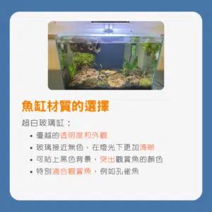 魚缸選擇|選擇魚缸 